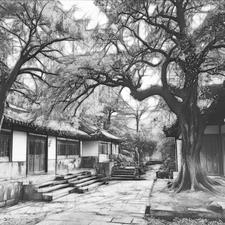 账房先生图片